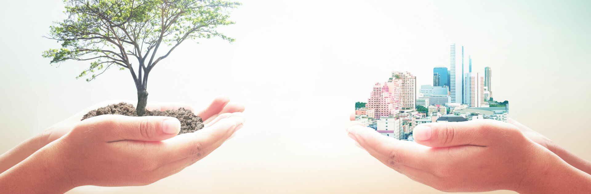 Zwei menschliche Hände, die großen Baum und Stadt über unscharfem Naturhintergrund halten