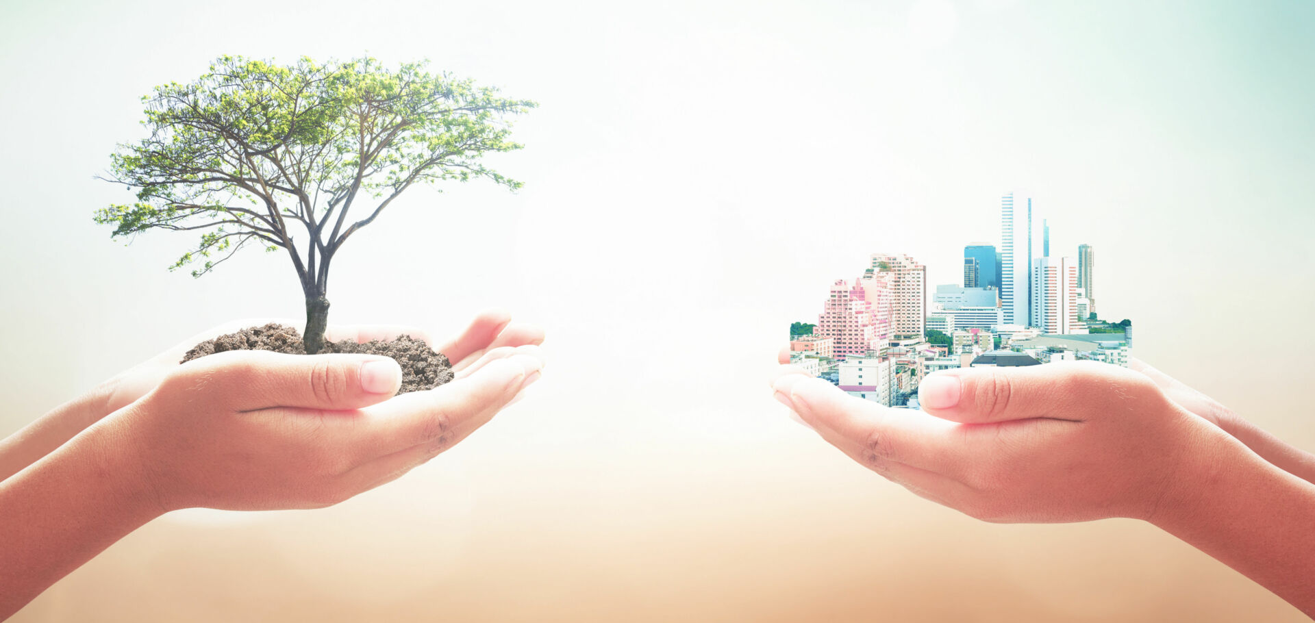 Zwei menschliche Hände, die großen Baum und Stadt über unscharfem Naturhintergrund halten