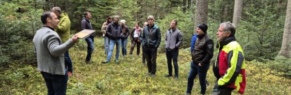 Besichtigung Pilotfläche Klugbauer ForForestInnovation