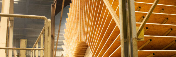 02_Produktion von UniStrand-Platten, SWISS KRONO, Heiligengrabe